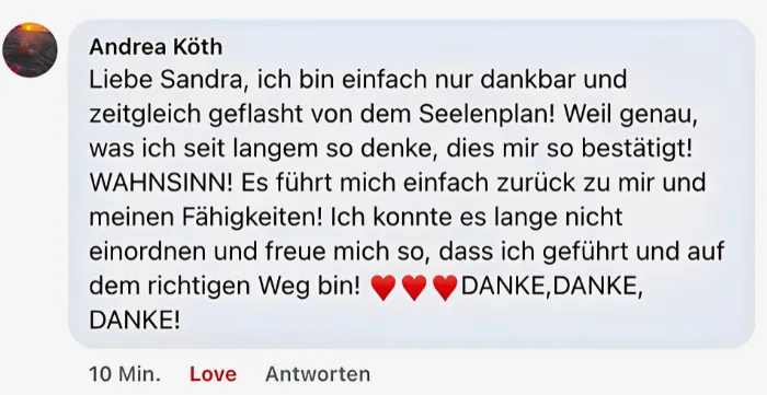 Sandra Hirsch Soul Plan Erfahrungen – Authentische Bewertung mit Vorher-Nachher-Eindruck